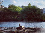 Kayak in the Colorado River